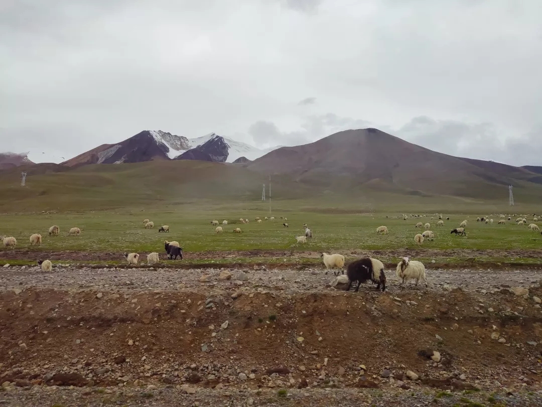 1607517041661777.jpg 3.jpg.jpg